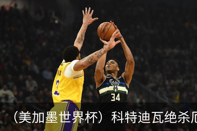 （美加墨世界杯）科特迪瓦绝杀厄瓜多尔 瑞典5:1大胜突尼斯