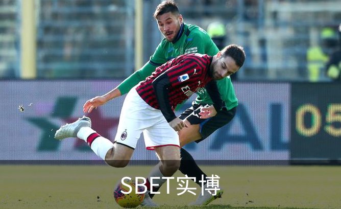 SBET实博概况